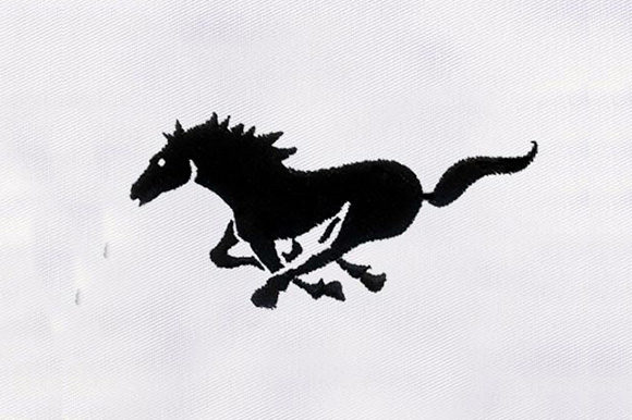 Black Horse Design Review